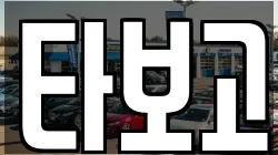 타보고