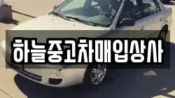 하늘중고차매입상사