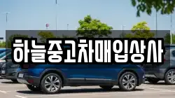 하늘중고차매입상사