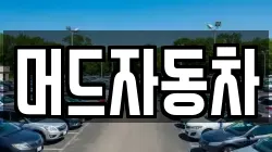 머드자동차
