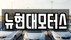 뉴현대모터스