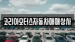 코리아모터스자동차매매상사