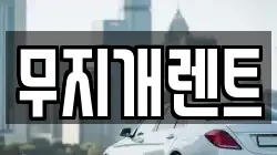 충청남도 보령시 동대동 렌트카,단기렌트카,장기렌트카,중고차,중고차매매,중고차매입