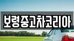 보령중고차코리아