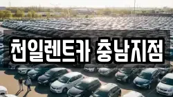 천일렌트카 충남지점
