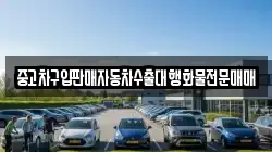 충청남도 부여군 남면 렌트카,단기렌트카,장기렌트카,중고차,중고차매매,중고차매입