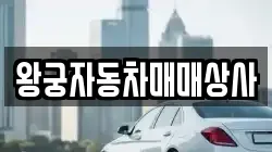 왕궁자동차매매상사