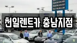충청남도 부여군 렌트카,단기렌트카,장기렌트카,중고차,중고차매매,중고차매입