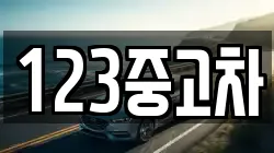 123중고차