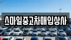 스마일중고차매입상사