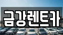 금강렌트카