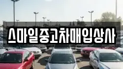 스마일중고차매입상사