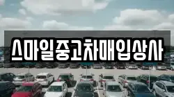 스마일중고차매입상사