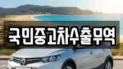 국민중고차수출무역
