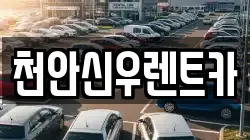 천안신우렌트카