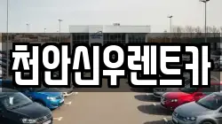 천안신우렌트카