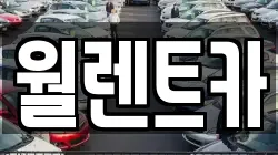 월렌트카