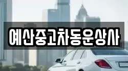 예산중고차동운상사