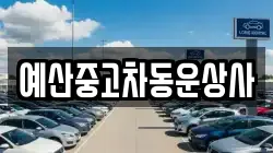 예산중고차동운상사