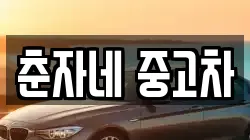 춘자네 중고차
