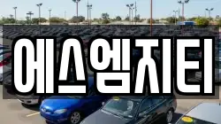 에스엠지티
