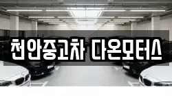 천안중고차 다온모터스