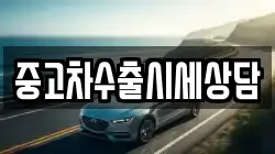 중고차수출시세상담