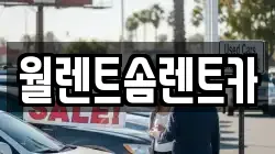 월렌트솜렌트카