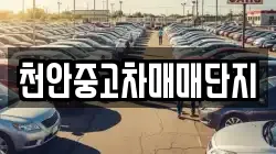 천안중고차매매단지