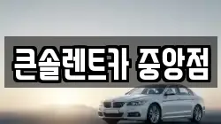 충청남도 천안시 동남구 삼룡동 렌트카,단기렌트카,장기렌트카,중고차,중고차매매,중고차매입
