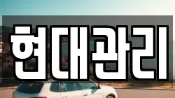 현대관리