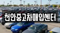 천안중고차매입센터