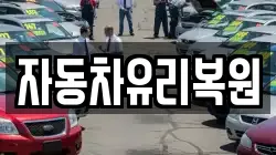 자동차유리복원