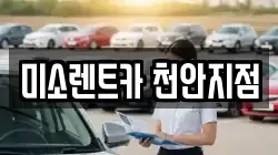충청남도 천안시 동남구 신방동 렌트카,단기렌트카,장기렌트카,중고차,중고차매매,중고차매입
