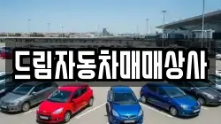드림자동차매매상사