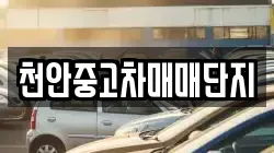 천안중고차매매단지
