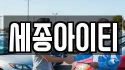 세종아이티