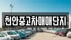 천안중고차매매단지