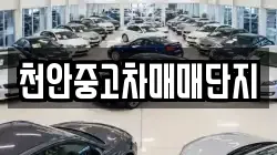 천안중고차매매단지