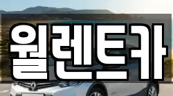 월렌트카