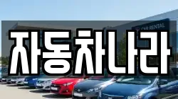 자동차나라