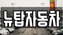 뉴탑자동차