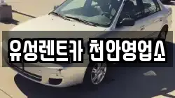 충청남도 천안시 서북구 신당동 렌트카,단기렌트카,장기렌트카,중고차,중고차매매,중고차매입