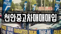 천안중고차매매매입