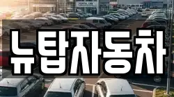 뉴탑자동차