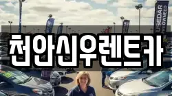 충청남도 천안시 서북구 직산읍 렌트카,단기렌트카,장기렌트카,중고차,중고차매매,중고차매입