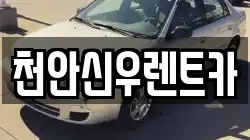 천안신우렌트카