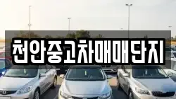 천안중고차매매단지