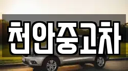 천안중고차