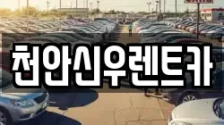 천안신우렌트카